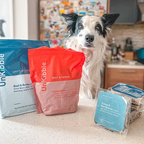 Spot & tango, dog nutrition, best food for dogs