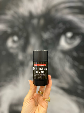dog's paw balm
