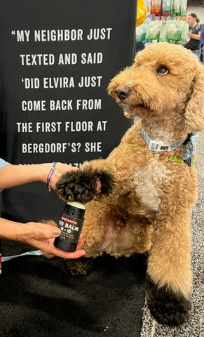 how to apply dog's paw balm