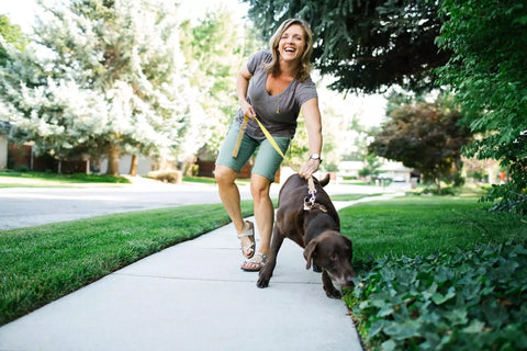 sustainability for pet owners, sustainable pet brands