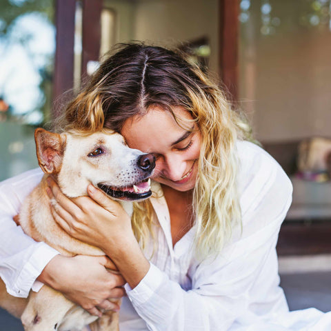 pet ownership