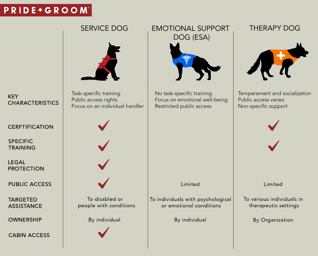 service dog vs therapy dog, service dog vs emotional support dog