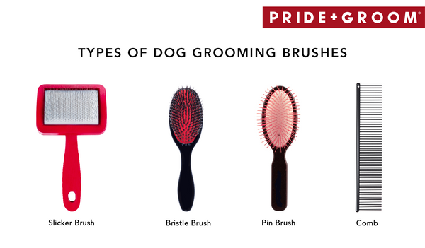 dog brushes guide, types of dog brushes, slicker brush, pin dog brush, dog comb, bristle dog brush, best dog brush