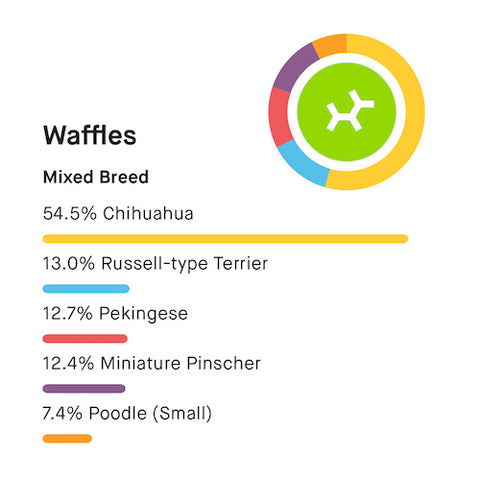 waffles dna test dog results